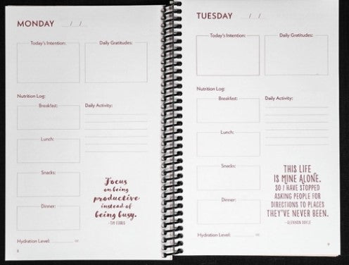 One Ray Journal Daily Wellness Journal